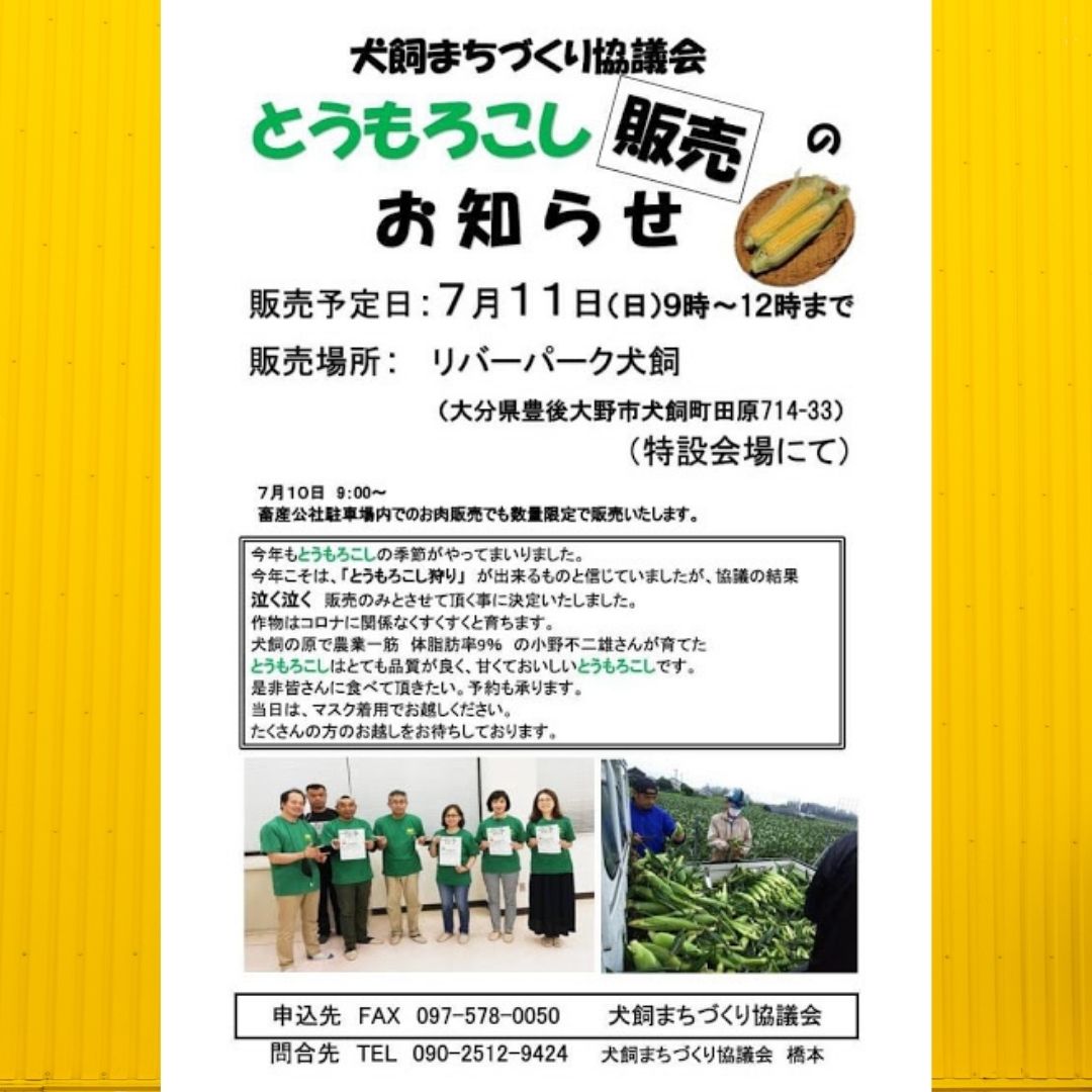 犬飼まちづくり協議会とうもろこし販売会のお知らせ 大分県豊後大野市 観光 食べる 総合情報サイト ぶんご大野 里の旅公社